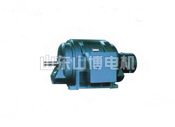 JR series high voltage three phase wound rotor asynchronous motor (10KV)